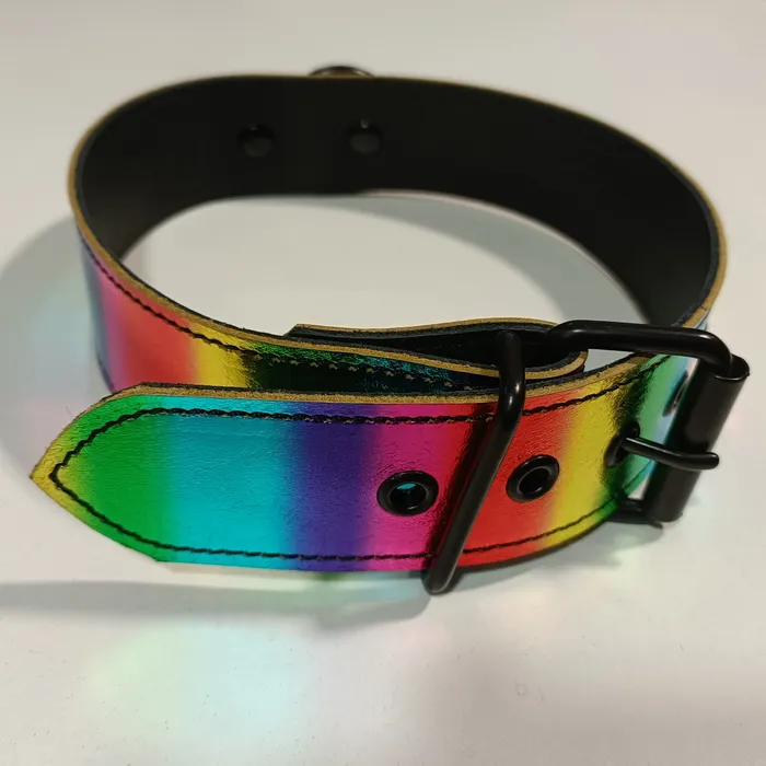 Clearance Metallic Rainbow Collar HonourSkintwocom Vibrators