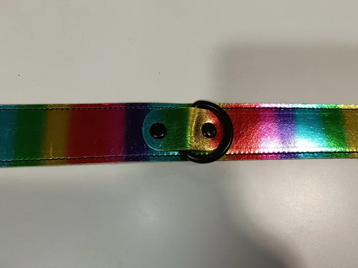 Clearance Metallic Rainbow Collar HonourSkintwocom Vibrators